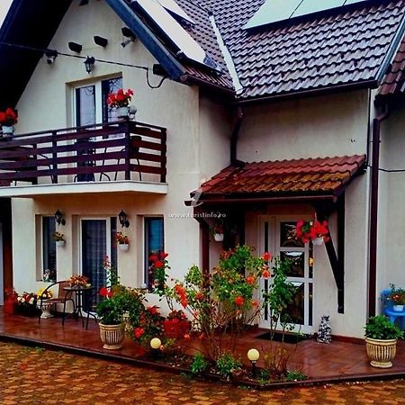 Edelweiss Ilinca Apartment Zarnesti Exterior photo