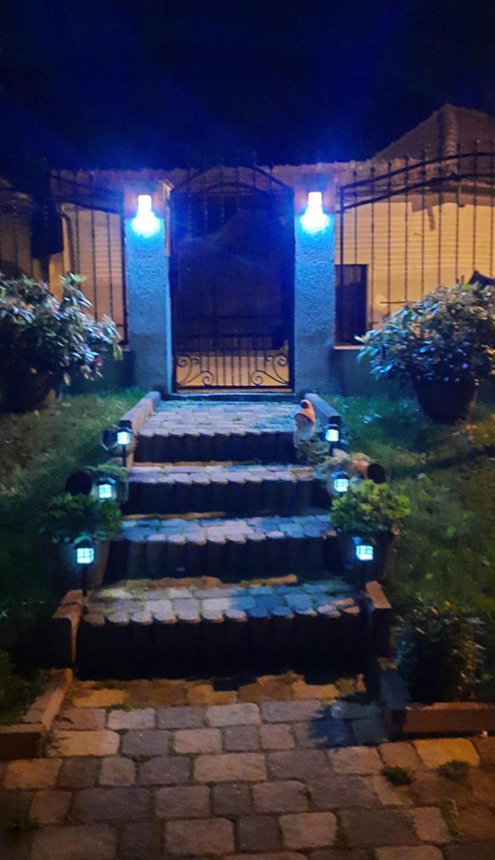 Edelweiss Ilinca Apartment Zarnesti Exterior photo