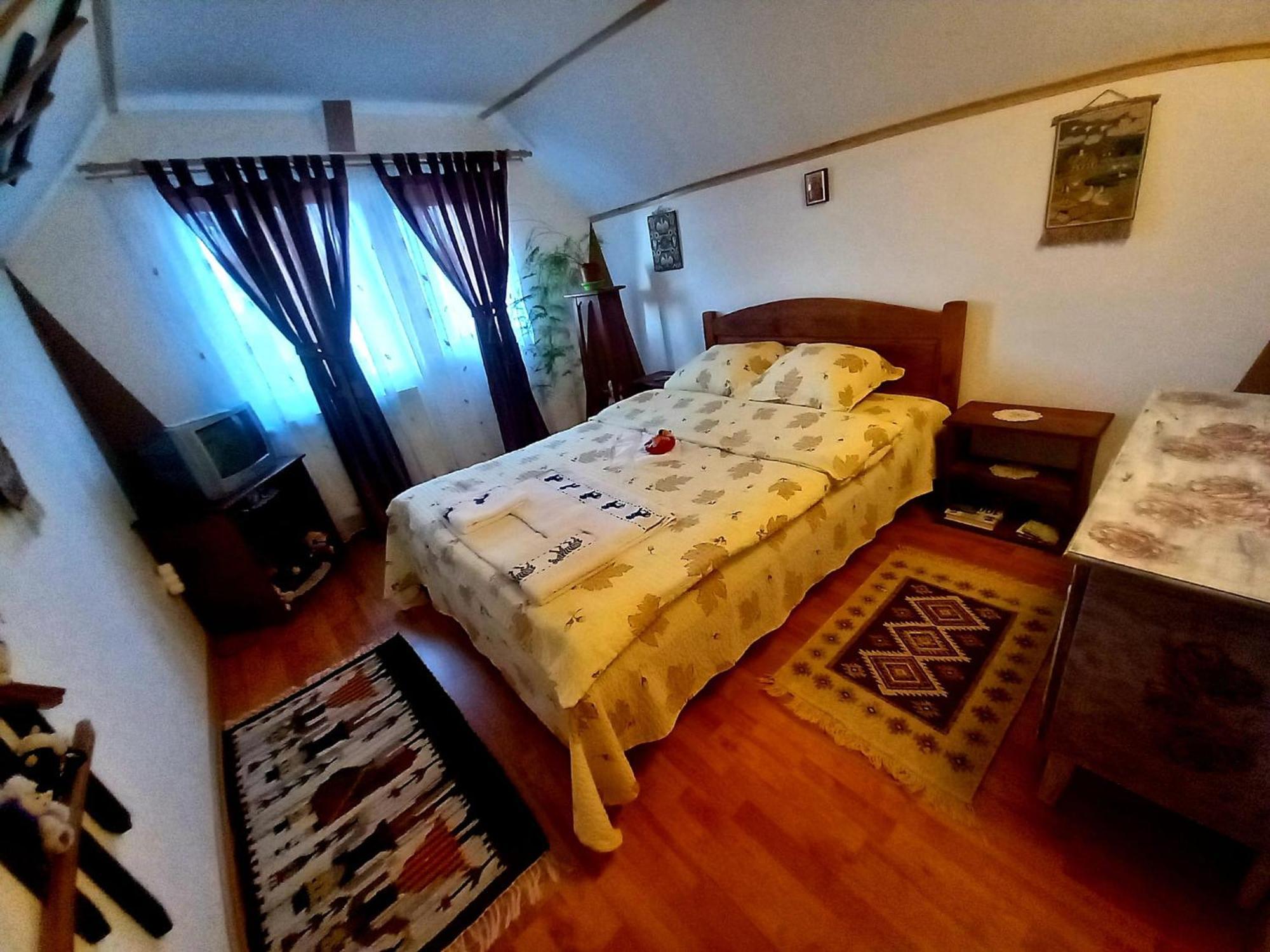 Edelweiss Ilinca Apartment Zarnesti Exterior photo