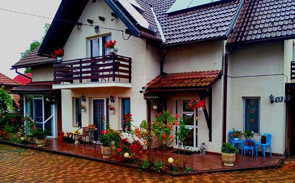 Edelweiss Ilinca Apartment Zarnesti Exterior photo