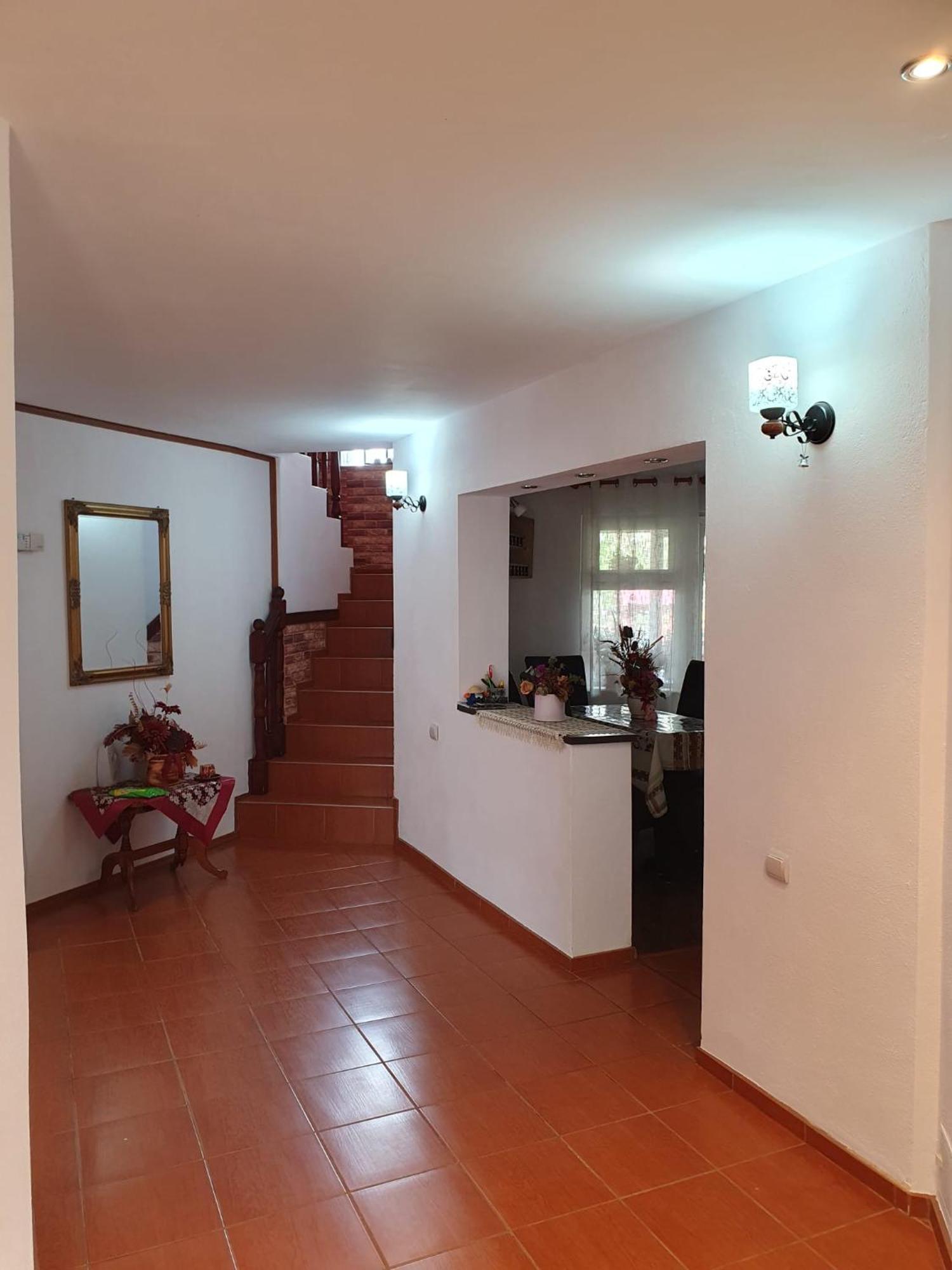 Edelweiss Ilinca Apartment Zarnesti Exterior photo