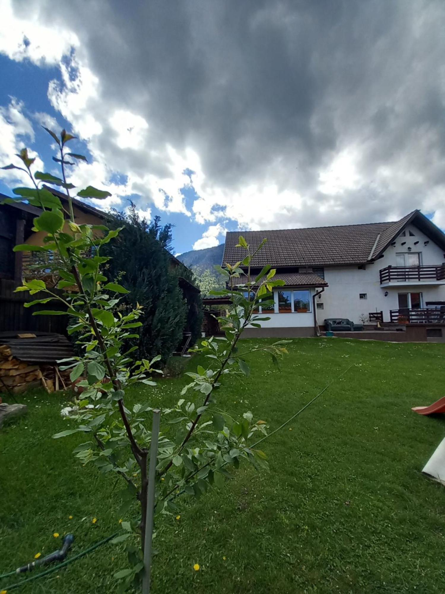 Edelweiss Ilinca Apartment Zarnesti Exterior photo