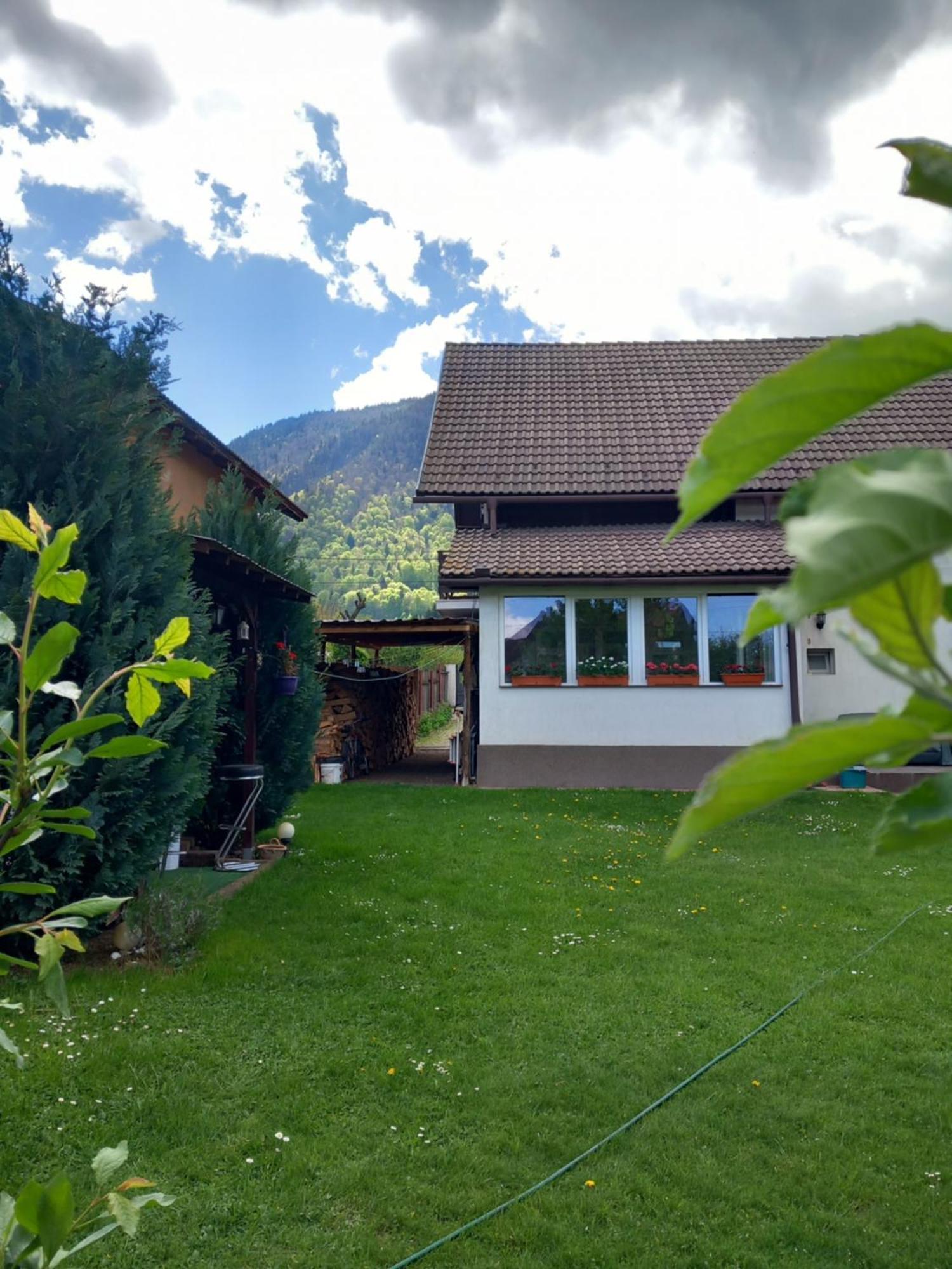 Edelweiss Ilinca Apartment Zarnesti Exterior photo