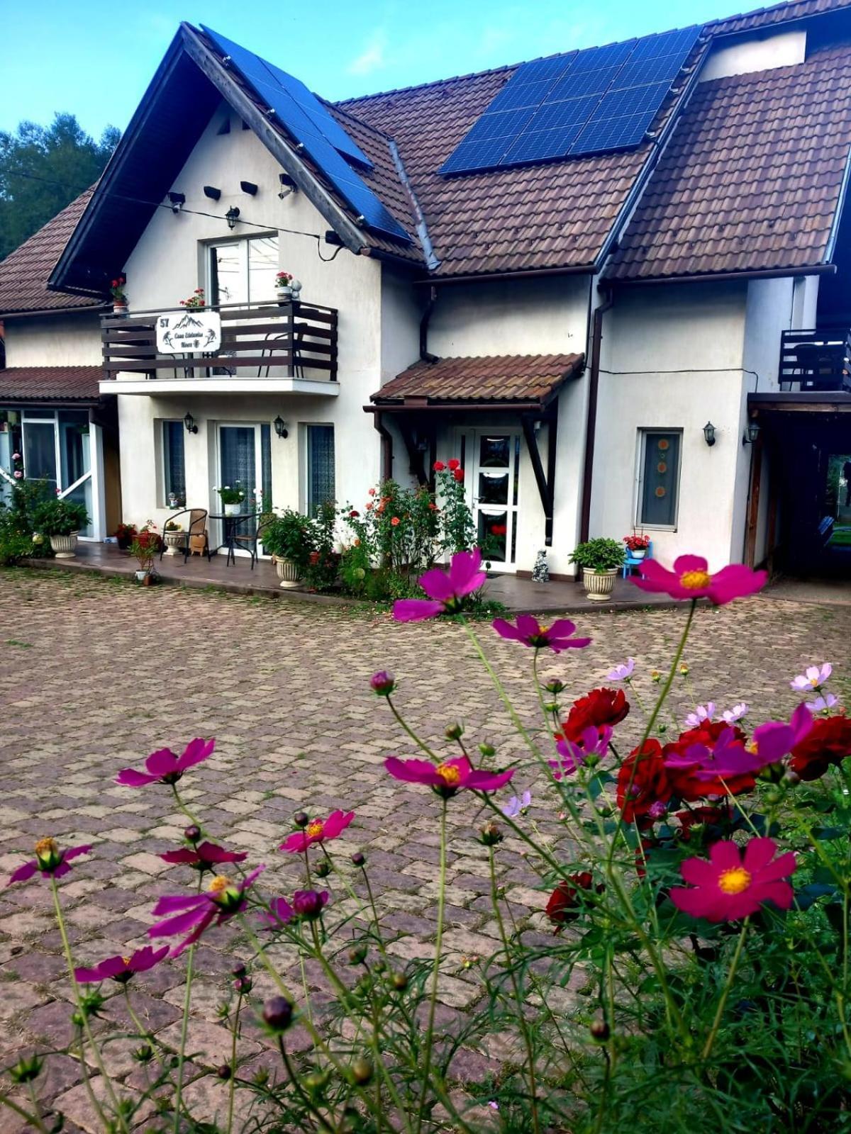 Edelweiss Ilinca Apartment Zarnesti Exterior photo